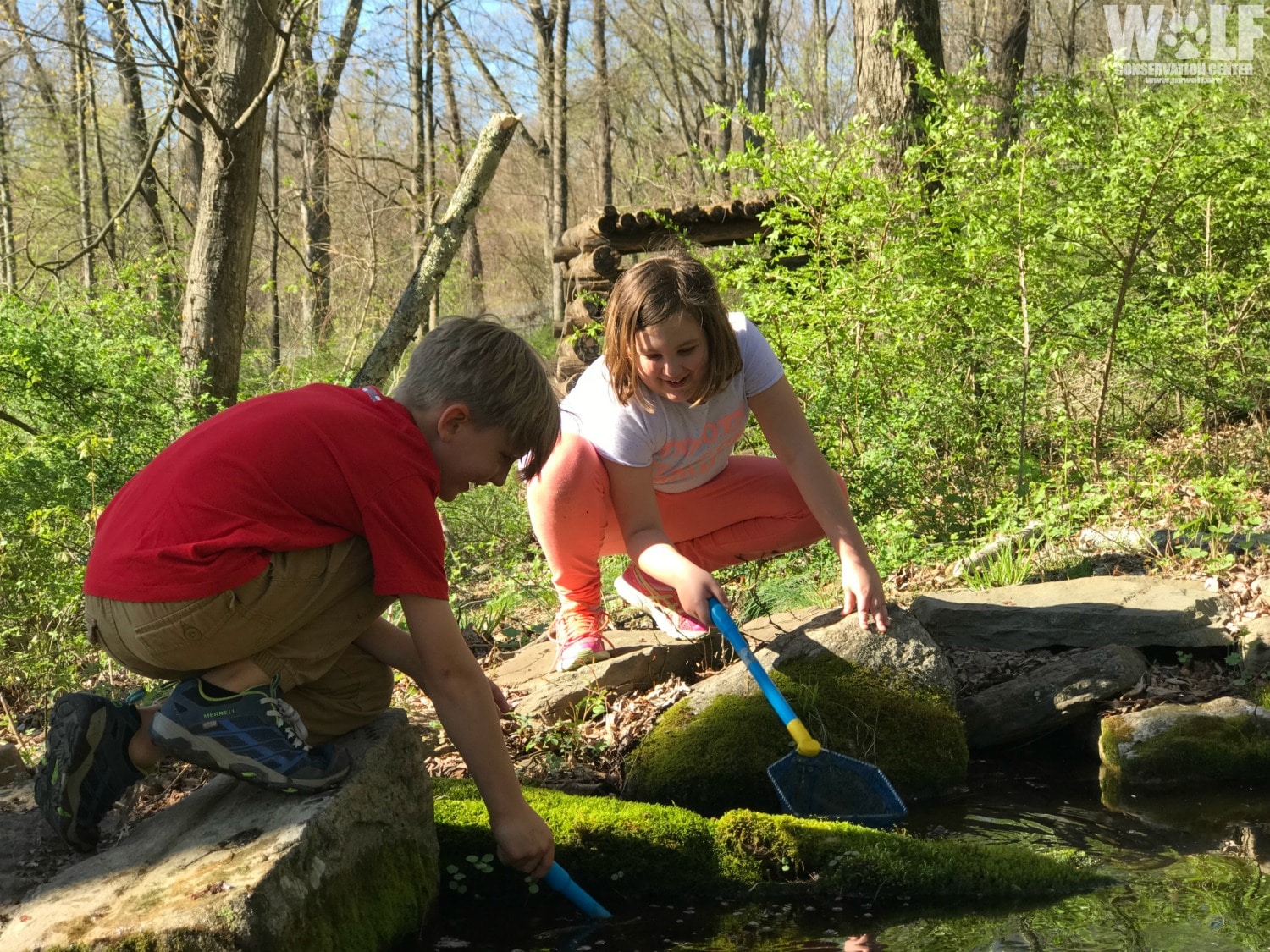 Jade Keller Kids Logo