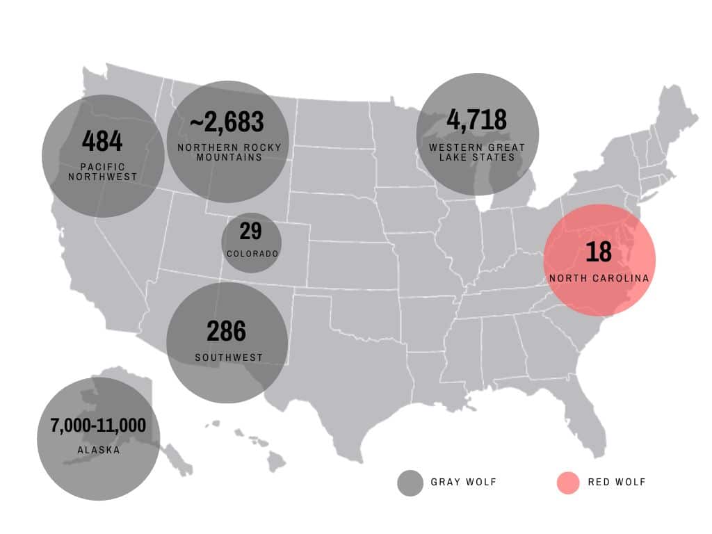 Us Wolf Map July 2025