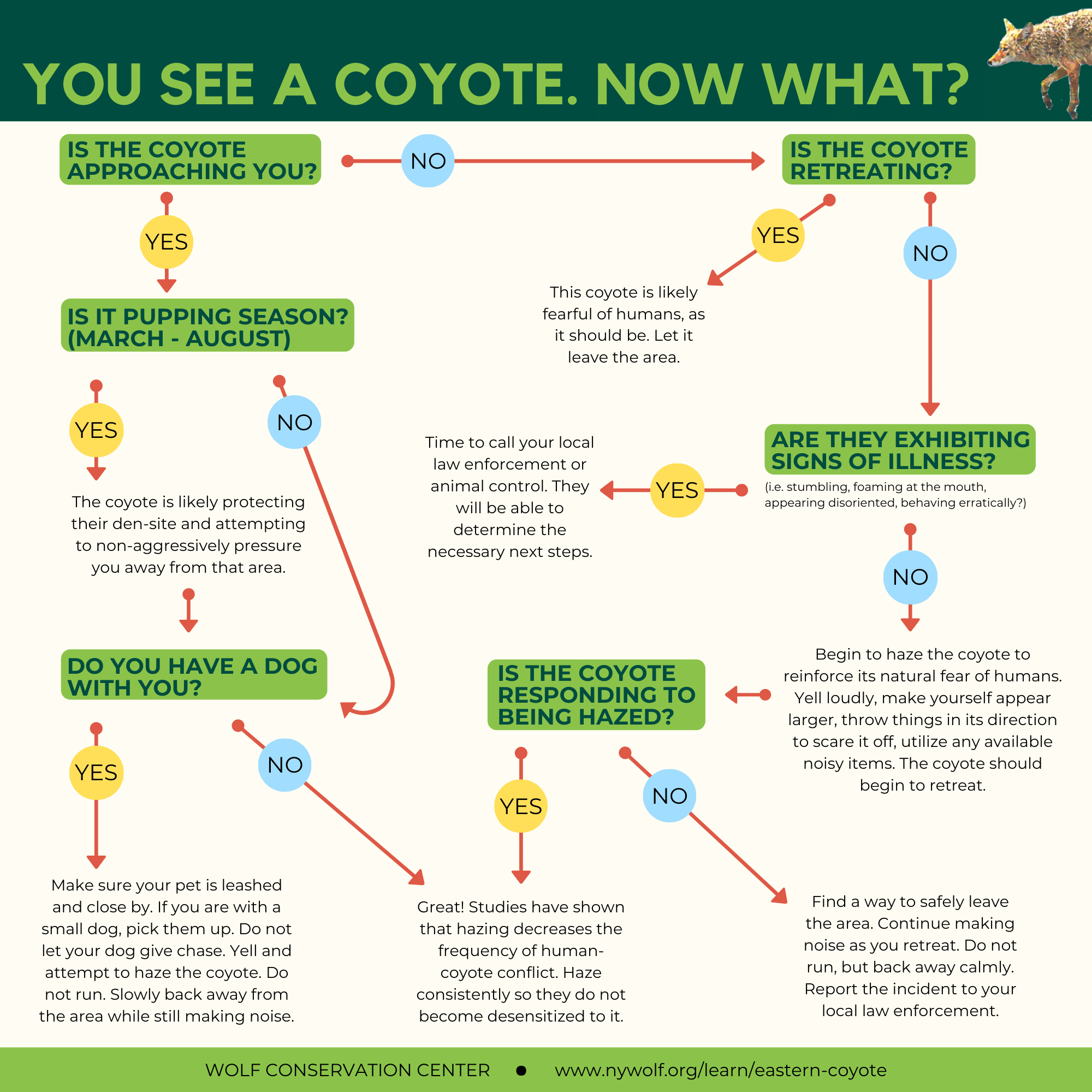 Coyote Coexistence Flow Cart